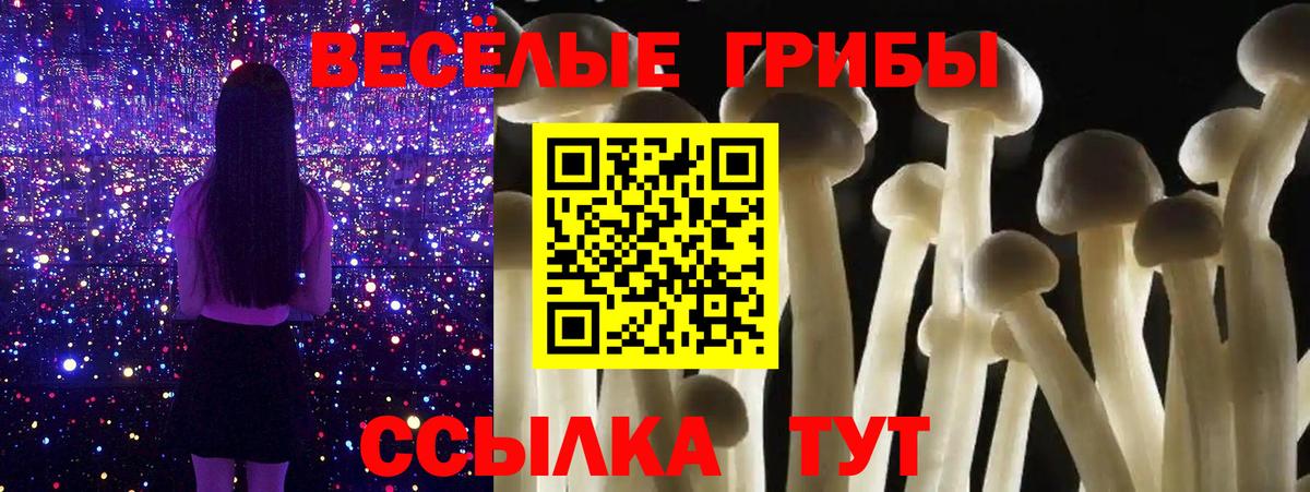 Галлюциногенные грибы MAGIC MUSHROOMS Гусев